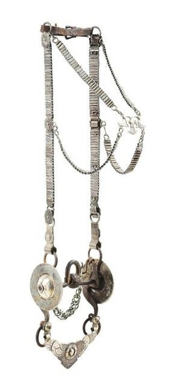 SOUTH AMERICAN COIN SILVER BRIDLE