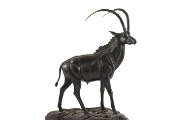 Tim Nicklin. Modèle en bronze d'une antilope Sabledebout sur un socle naturaliste, signé et daté...