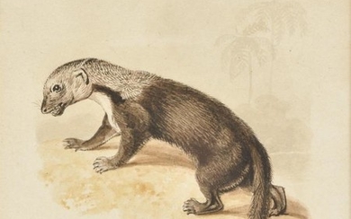 William Samuel Howitt (British c.1765-1822), Otter