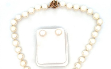 10mm Akoya Pearl Necklace and Earrings, 14K