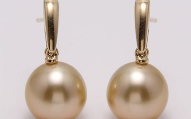 14 kt. Yellow Gold - 10x11mm Golden South Sea Pearls - Earrings