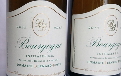 2013 Domaine Bernard-Bonin - Initiales B.B. - Bourgogne - 2 Bottle (0.75L)