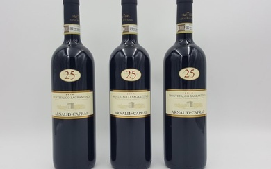 2014 Arnaldo Caprai, "25 Anni" Sagrantino di Montefalco - Umbria - 3 Bottles (0.75L)