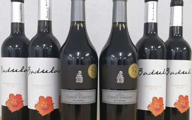 2018 Conde Vimioso Reserva x2 & 2014 Quinta da Badula 'Badula' Tinto x4 - Tejo - 6 Bottles (0.75L)