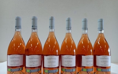 6 bouteilles deRosé la Terrarmonie. 2013.... - Lot 71 - Enchères Maisons-Laffitte