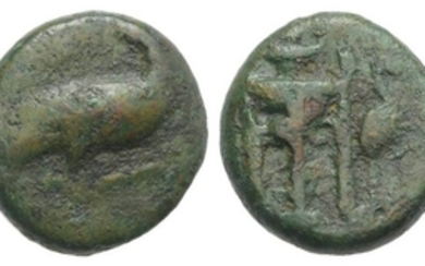Bruttium, Kroton, c. 375-325 BC. Æ (13mm, 3.07g, 6h). Eagle...