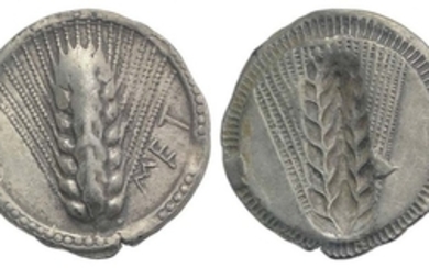 Southern Lucania, Metapontion, c. 540-510 BC. AR Drachm (19mm, 2.66g,...