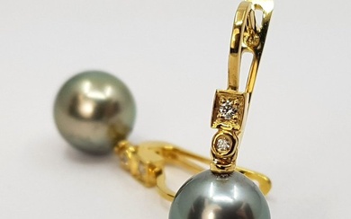 9x10mm Peacock Tahitian Pearls - 14 kt. Yellow gold - Earrings - 0.07 ct