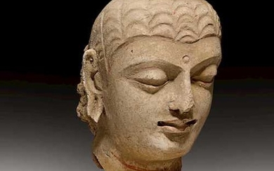 A FINE STUCCO HEAD OF BUDDHA.
