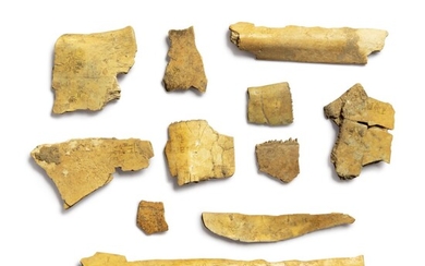 A RARE GROUP OF ELEVEN ORACLE BONES WITH INSCRIPTIONS, SHANG DYNASTY, 13TH-11TH CENTURY BC