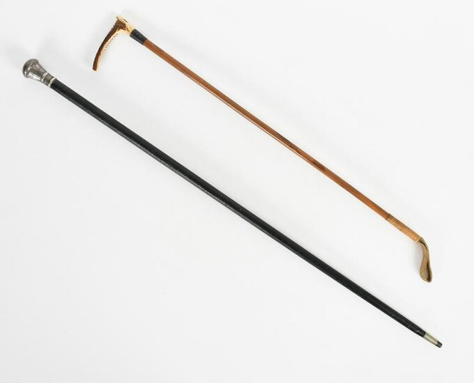 A Walking Stick and A Riding Crop