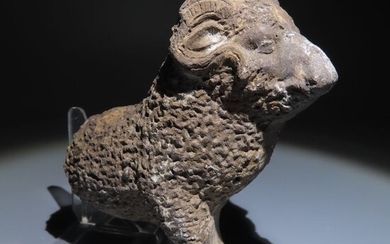 Ancient Egypt, Greco–Roman Period Terracotta Ram figure. 11 cm L. Very nice details "Heritage Collection"