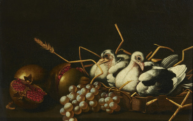 Artista Del XVIII Secolo, Still life with grapes, pomegranate and birds