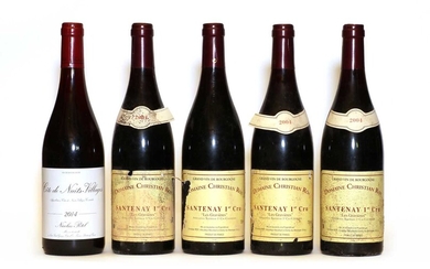 Assorted Burgundy: Santenay, Domaine Christian Roy, 2004, four bottles and one various other