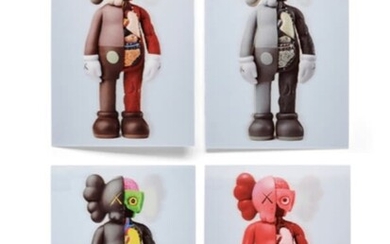 BRIAN DONNELLY Kaws x NGV