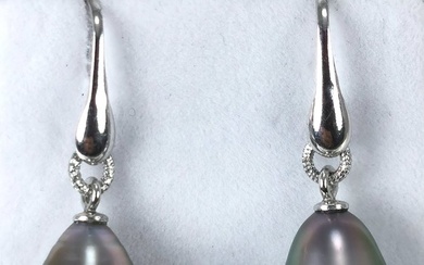 Drop shape Tahitian pearls Ø 9,7x12,7 mm earrings - Earrings Silver Pearl