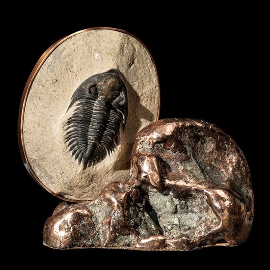 Fossil Trilobite, Copper Nugget & Copper - Fossilised animal - Metacanthina sp. - 11.5 cm - 11 cm