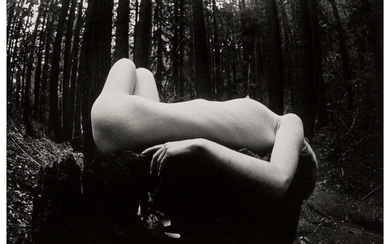 James Fee (1949-2006), Female Nude in the Forest (circa 1970s)