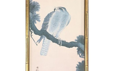 Koson Japanese Falcon on Branch Print of the Woodblock
