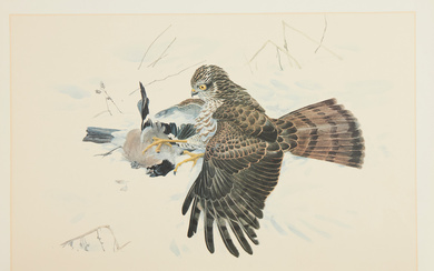 LARS JONSSON. Bird of prey with prey, lithograph in colours, signed and numbered 166/350.