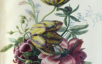 Lays Original Watercolors of Tulips and Peonies