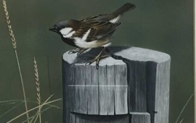 Len Dally acrylic on paper - sparrow on a post