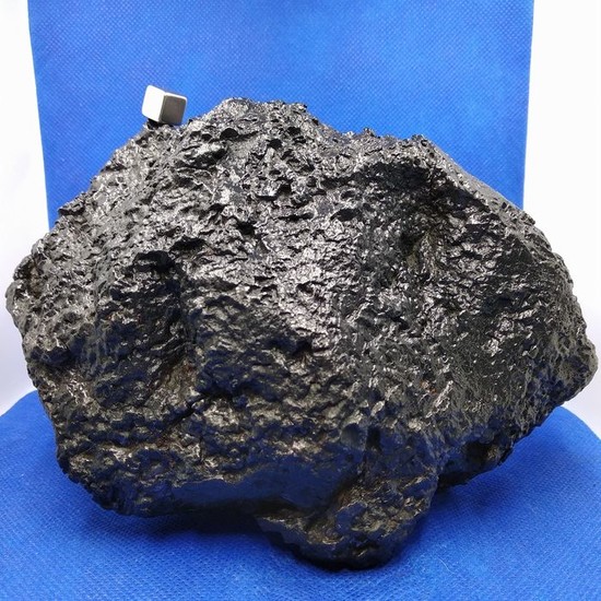NANTAN Meteorite (China, 1516). Octahedrite MUSEUM quality. XL - 7.3 kg