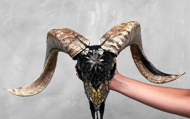 NO RESERVE PRICE - Beautiful ram's skull - Glass mozaic inlay Skull - Ovis Aries - 28 cm - 54 cm - 18 cm- Non-CITES species
