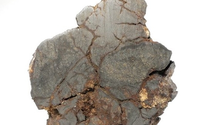 NWA 12798, H6 Melt Breccia Chondrite Meteorite - 7×2×5.8 cm - 101 g
