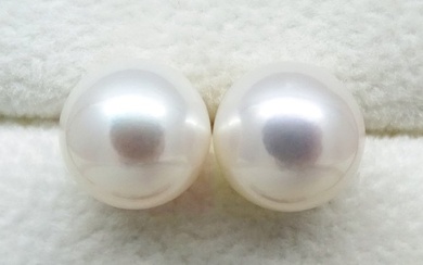 No Reserve Price - South Sea Pearls, Round 9,5 -10 mm Stud earrings - Yellow gold