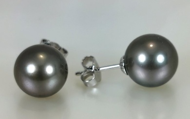 No Reserve Price - Tahitian pearls Rd Ø 10x11 mm - 18 kt. Tahitian pearls, White gold - Earrings
