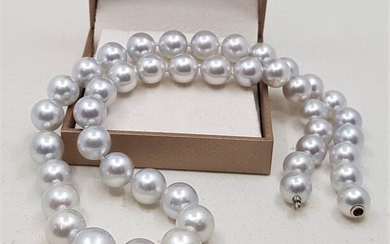 No reserve price - 18 kt. White Gold - 9x12mm Round Silvery Australian South Sea Pearls - Necklace