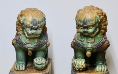Pair of Ceramic Foo Dog Sancai (2) - Ceramic - Dragon, Foo dog - china - 21st century