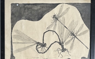Pierre-Yves TRÉMOIS (1921-2020) Libellules Encre signée en bas à droite 50 x 64 cm à...