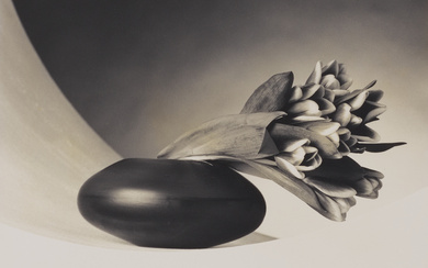 ROBERT MAPPLETHORPE (1946–1989) Tulips, (Just to Thank You), 1987