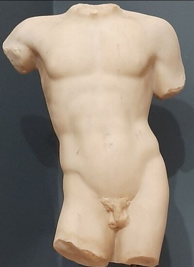 Sculpture, Male torso - 48 cm (1) - Marble - Second half 20th century