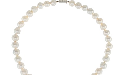 Single strand of Australian pearl necklace