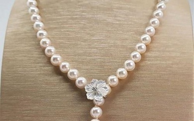 Top grade AAA 8x9mm Akoya Pearls - 925 Silver - Necklace