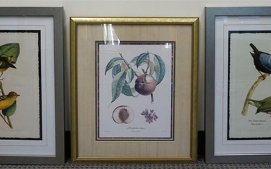 Two Reproduction Prints of Birds and Print of Fruit