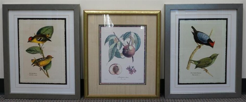 Two Reproduction Prints of Birds and Print of Fruit