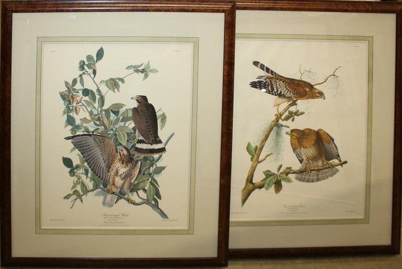 Two framed Audubon Prints