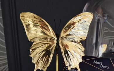 Unique 24ct Gold Leaf Gilded Papilio butterfly - under dome - with COA - 27×17×17 cm - 2.2 kg