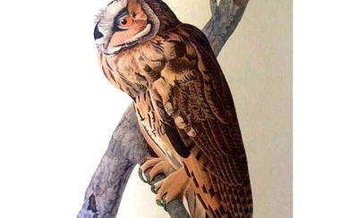 c1946 Audubon Print, #383 Long-Eared Owl
