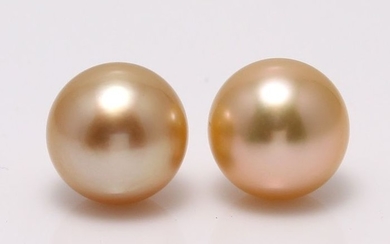 no reserve - 18 kt. Yellow Gold- 10x11mm Golden South Sea Pearls - Earrings