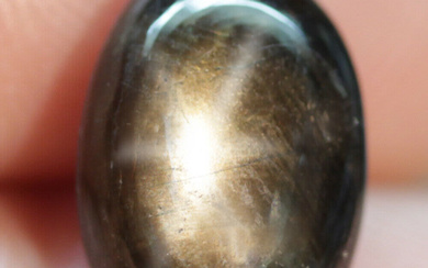 35$---5.46Ct. Star Sapphire Natural Cabochon Golden Black 6 Rays Unheated...
