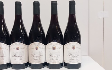 5 bouteilles de Bourgogne Pinot Noir 2019... - Lot 72 - Enchères Maisons-Laffitte