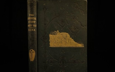 1875 1st ed GEOLOGY Geological Story Dana Science