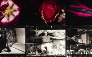 NOBUYOSHI ARAKI | UNTITLED (FROM THE SERIES FLOWERS AND TOKYO SHIJYO), 1998