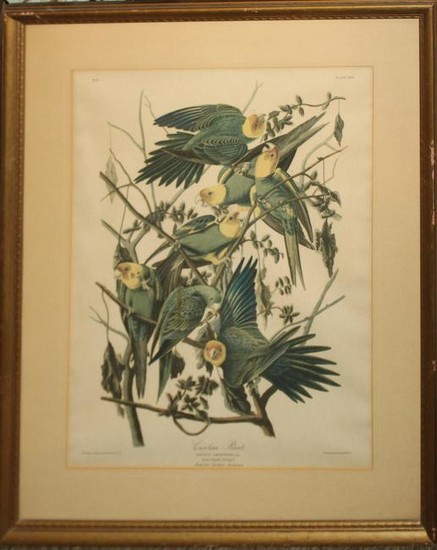 After John J Audubon (AM 1785-1851)