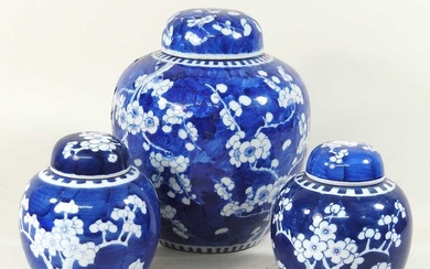An early 20th century Chinese porcelain blue and white ginger...